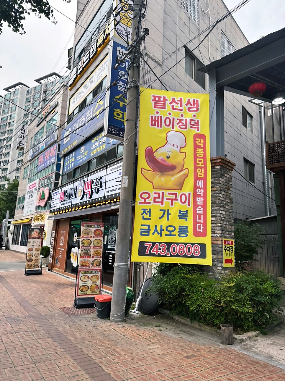 팔선생 사진 4