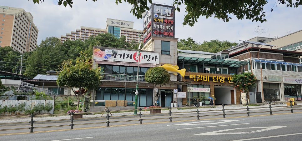 단양쏘가리 사진 4