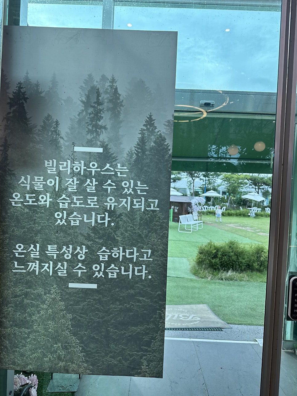 빌리 사진 3