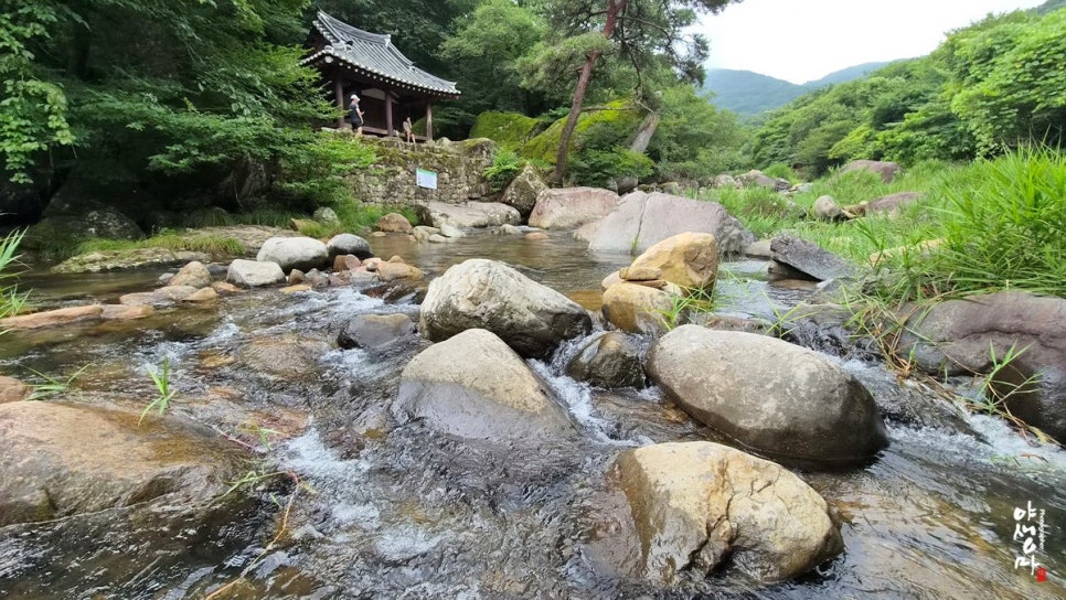원효계곡 사진 1