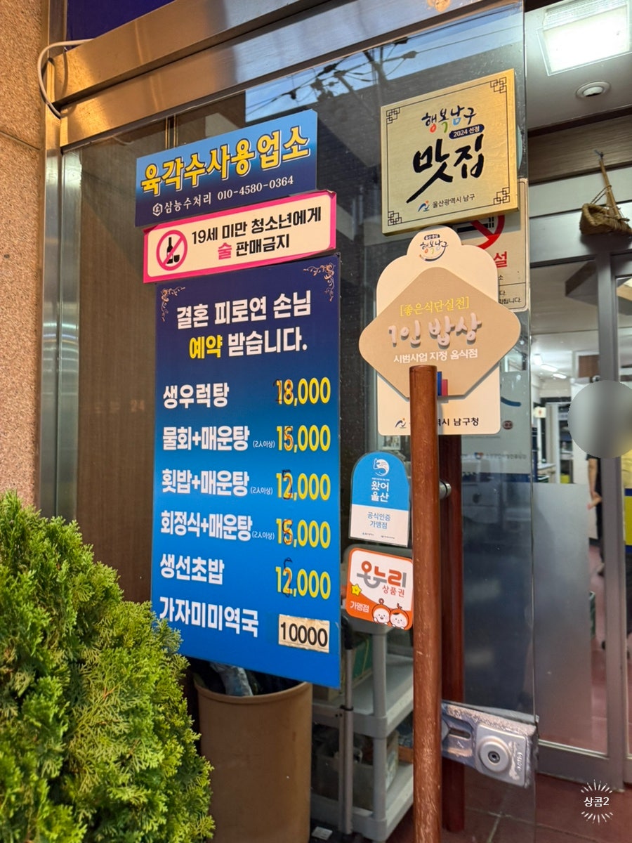정자참가자미 사진 3