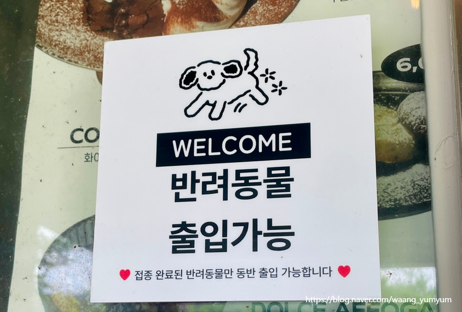 솔로투 본점 사진 6