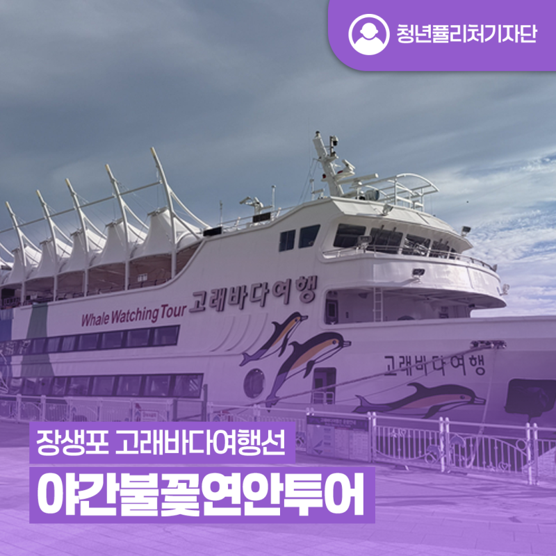 [청년퓰리처기자] 노을과 불꽃을 한 번에! 장생포 고래바다여행선 야간불꽃연안투어