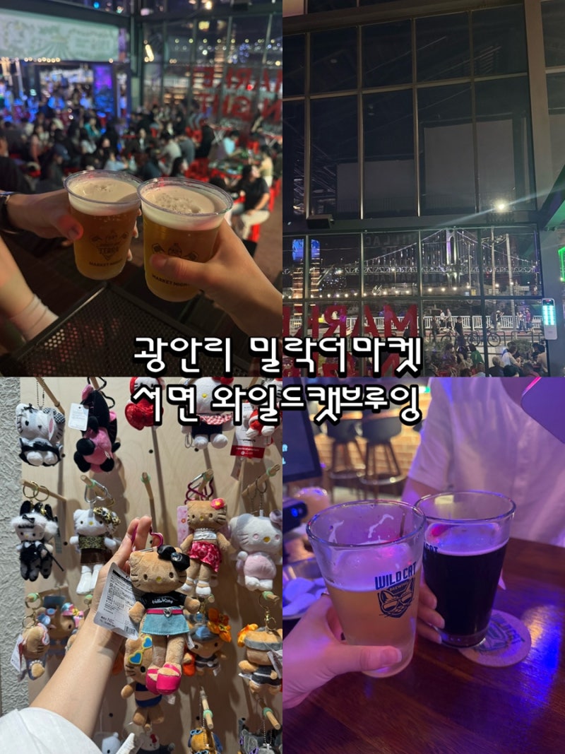 부산여행 가볼만한 곳 광안리 밀락더마켓(DJ공연, 맥주, 소품샵), 와일드캣 브루잉(수제맥주, ....
