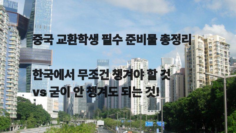 [SZU 중국 교환학생] 타오바오의 나라로 가는 그대들에게...