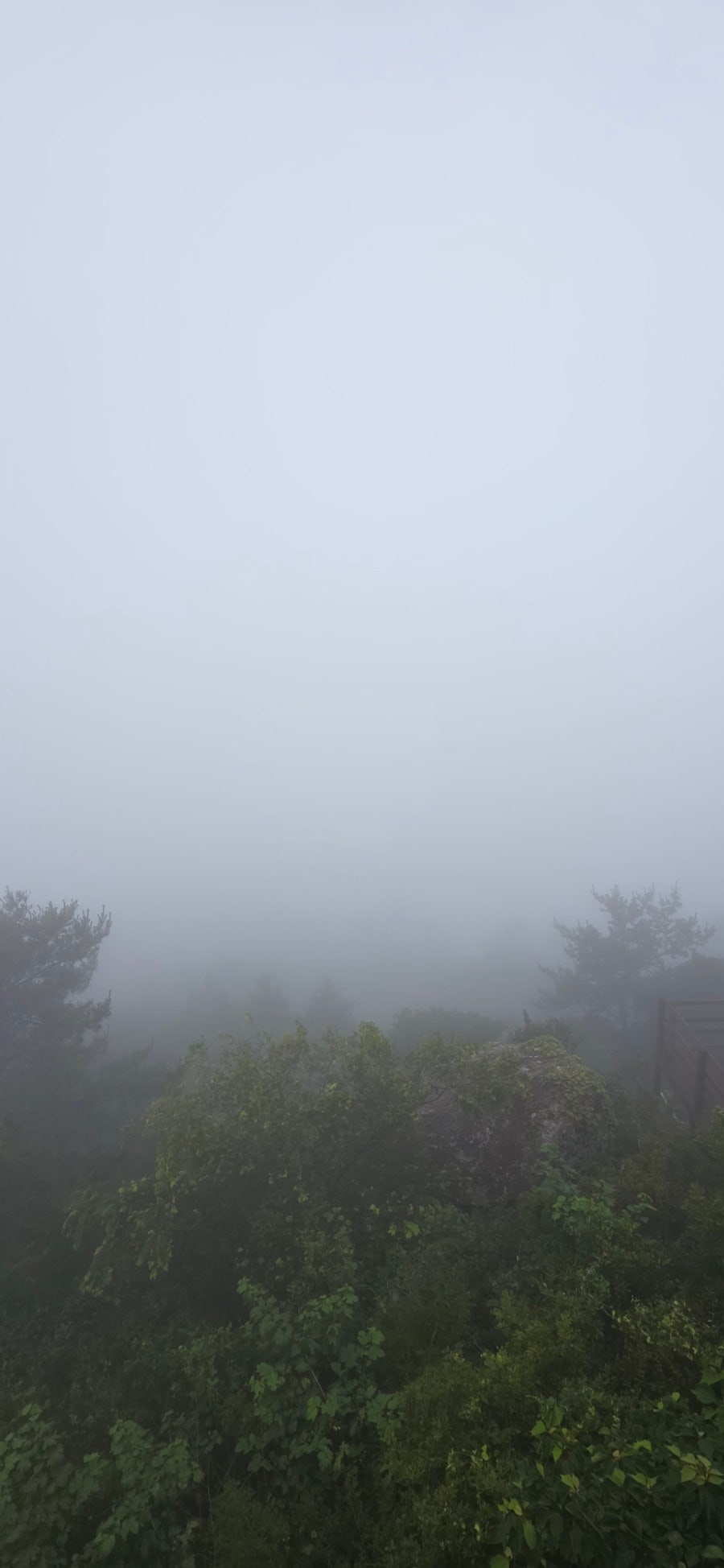 억불산 사진 4