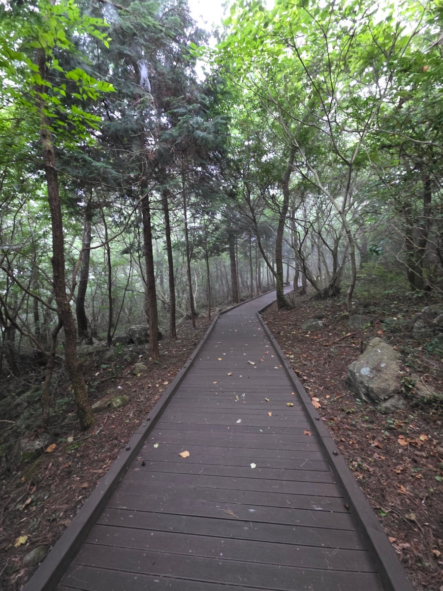 억불산 사진 3