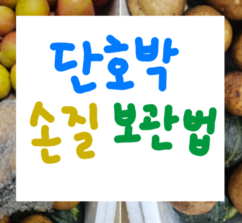 단호박 손질부터 냉동 보관법까지! 오래 두고 먹는 꿀팁 총정리