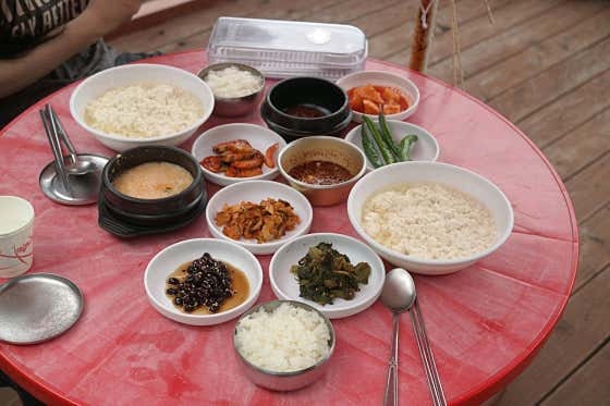 "간판도 없는데 34년째 줄 선다" 한국기행 태백 순두부 맛집 구와우순두부식당 위치 메뉴 가....
