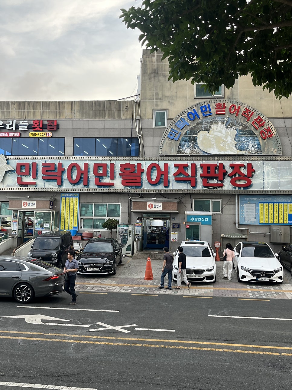 왔다회초장 사진 1
