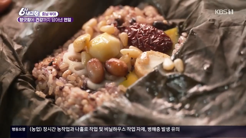 구드래황토정 사진 3