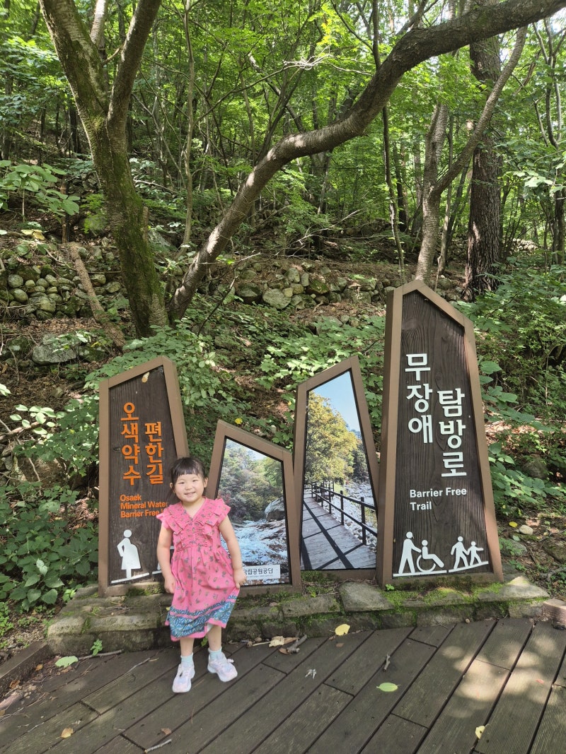 [양양 가볼만한곳] 아이들과 함께 걷기 좋은 설악산 오색약수 힐링 산책코스 주전골 무장애....