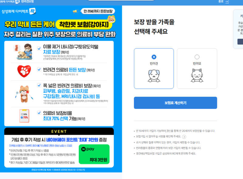 애견보험 혜택 비교 몇살부터 가능한지 총정리