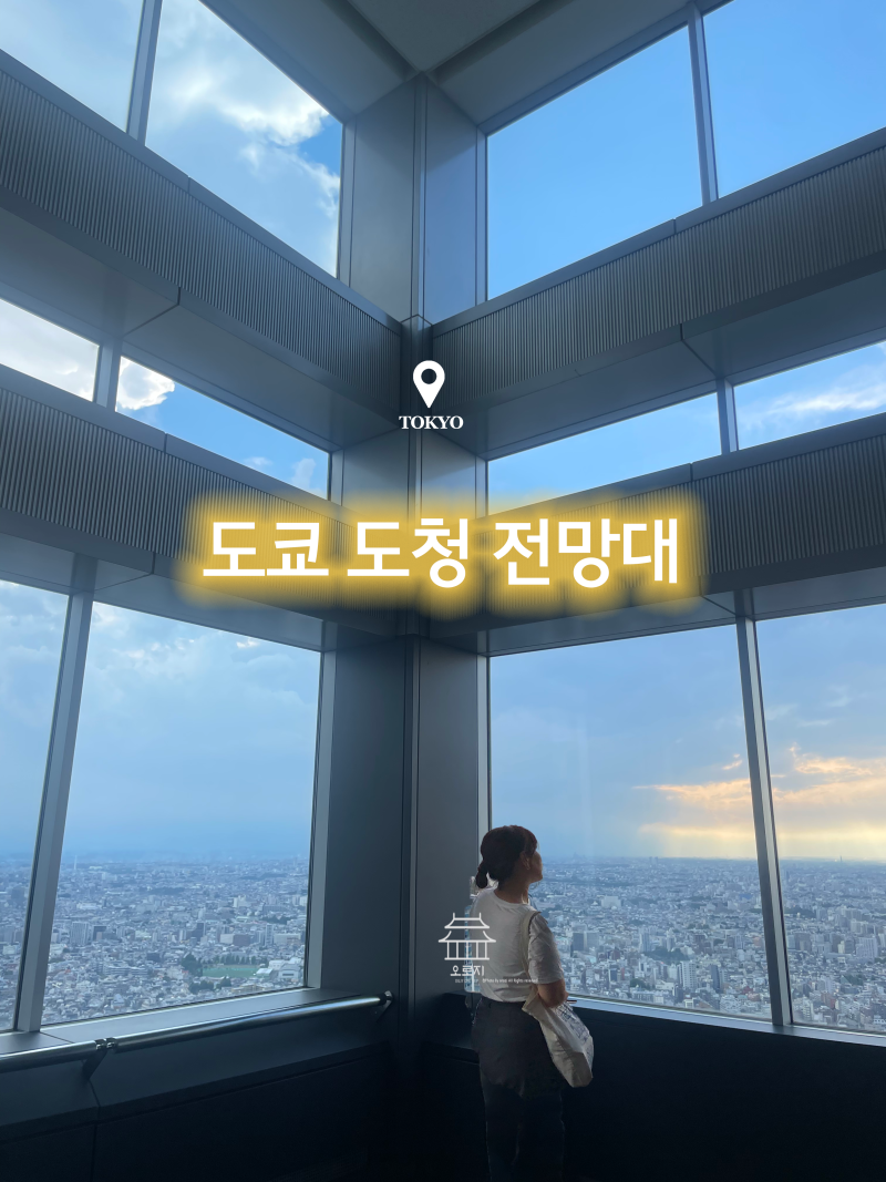 도쿄 신주쿠 가볼만한 곳 |도쿄 도청 전망대와 야경 라이트쇼까지 무료로 즐기기(ft.남측전망....