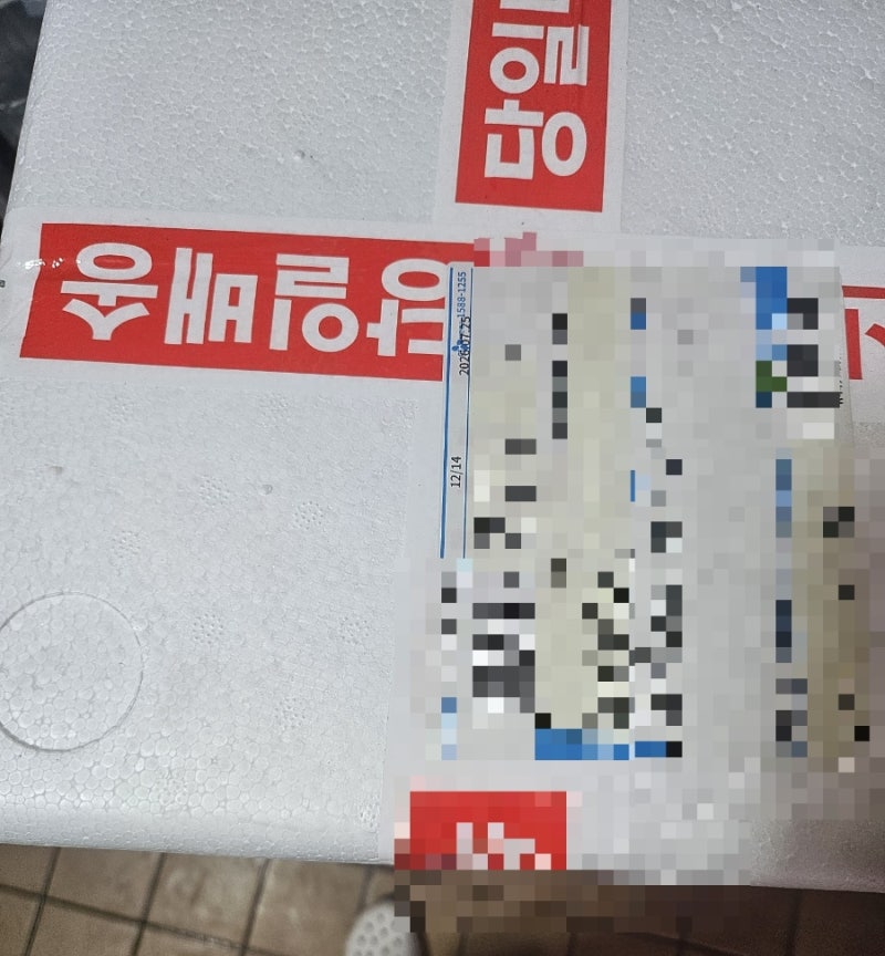 농라 햇전어 후기