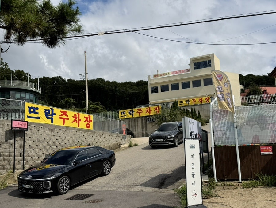 보리 사진 5