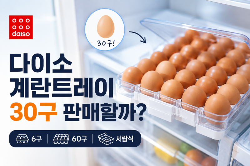 [다이소 알바생 직접확인] 다이소 계란트레이 통 30구 판매할까??? (6구 60구 투명 보관함 / 냉....