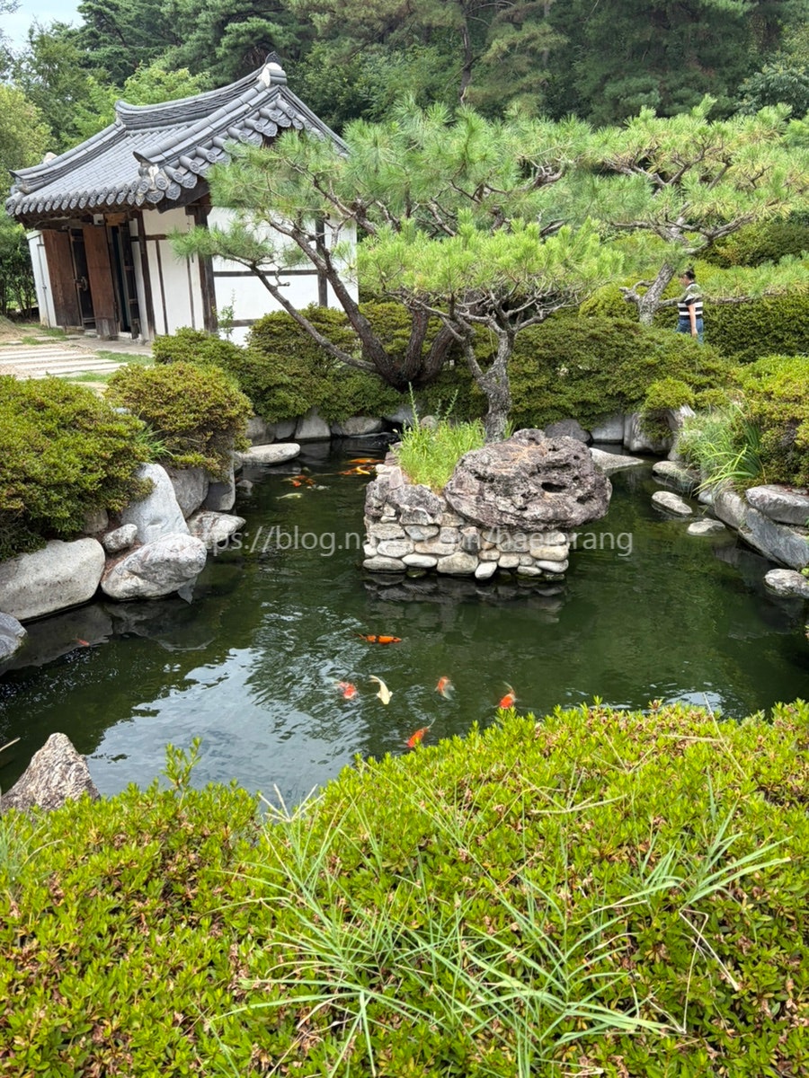 묘운 사진 3
