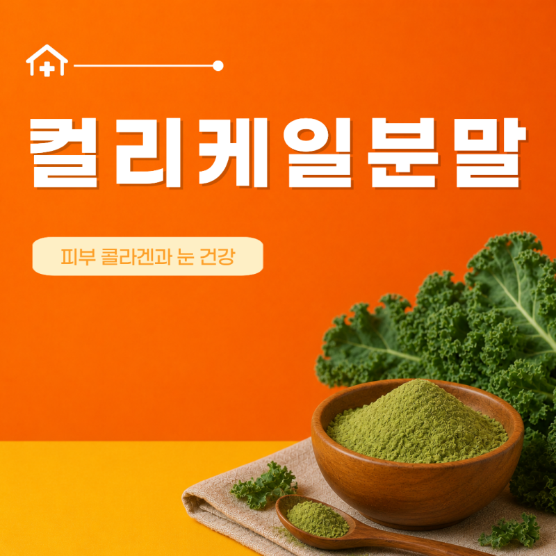 컬리케일분말 효능 7가지 섭취 방법 먹는 법 하루섭취량 부작용