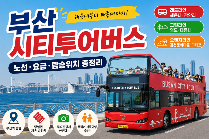 부산시티투어버스 노선·요금 총정리, 해운대 태종대 다대포 여행법