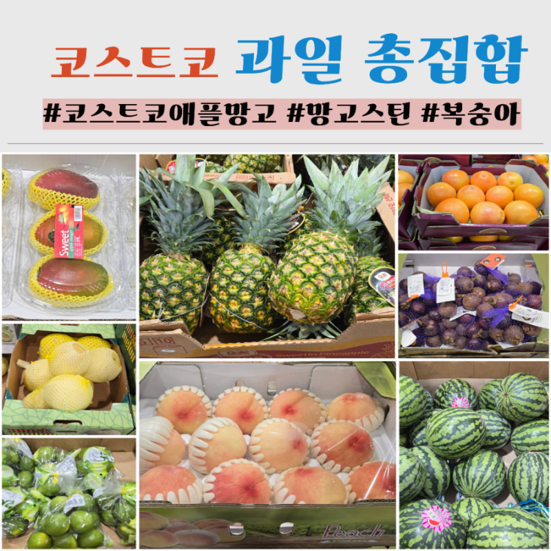 코스트코 공세점 39종류 과일 총정리/애플망고, 제철과일 가성비 갑 할인품목 소개