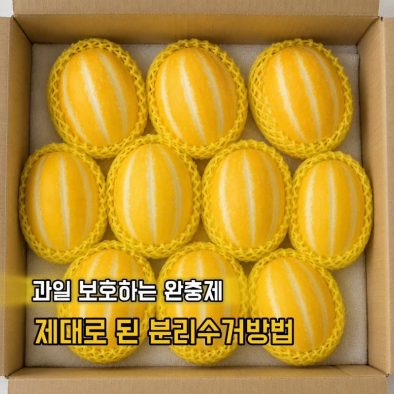 선물 들어 온 과일 완충용 포장재 스티로폼 올바른 분리수거 방법