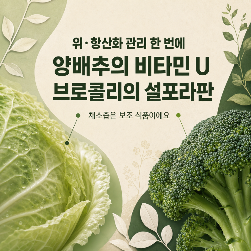 브로콜리양배추즙 매일 마셔도 될까, 효능 및 주의할 점