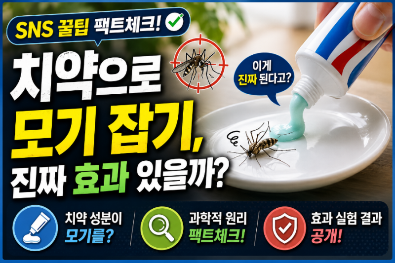 치약으로 모기 잡기, 진짜 효과 있을까 - SNS 꿀팁 팩트체크