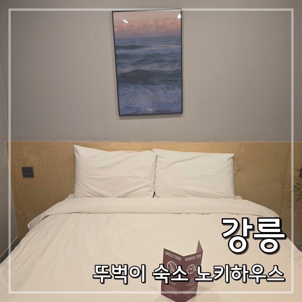 베이스캠프 사진 2