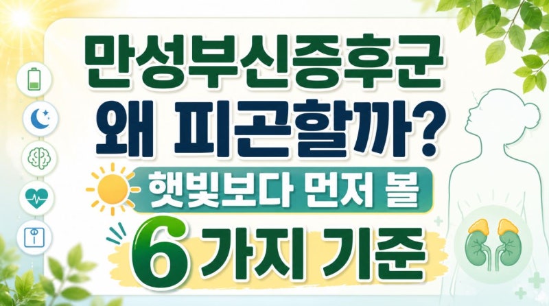 만성부신증후군 왜 피곤할까? 햇빛보다 먼저 볼 6가지 기준