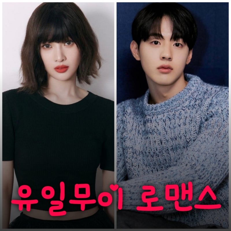 유일무이 로맨스 조이 김현진 드라마 출연진 등장인물 원작 정보