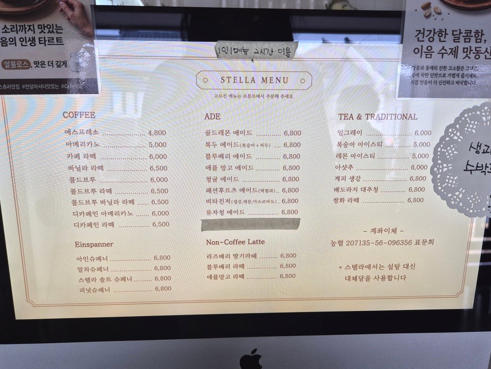 스텔라 사진 4