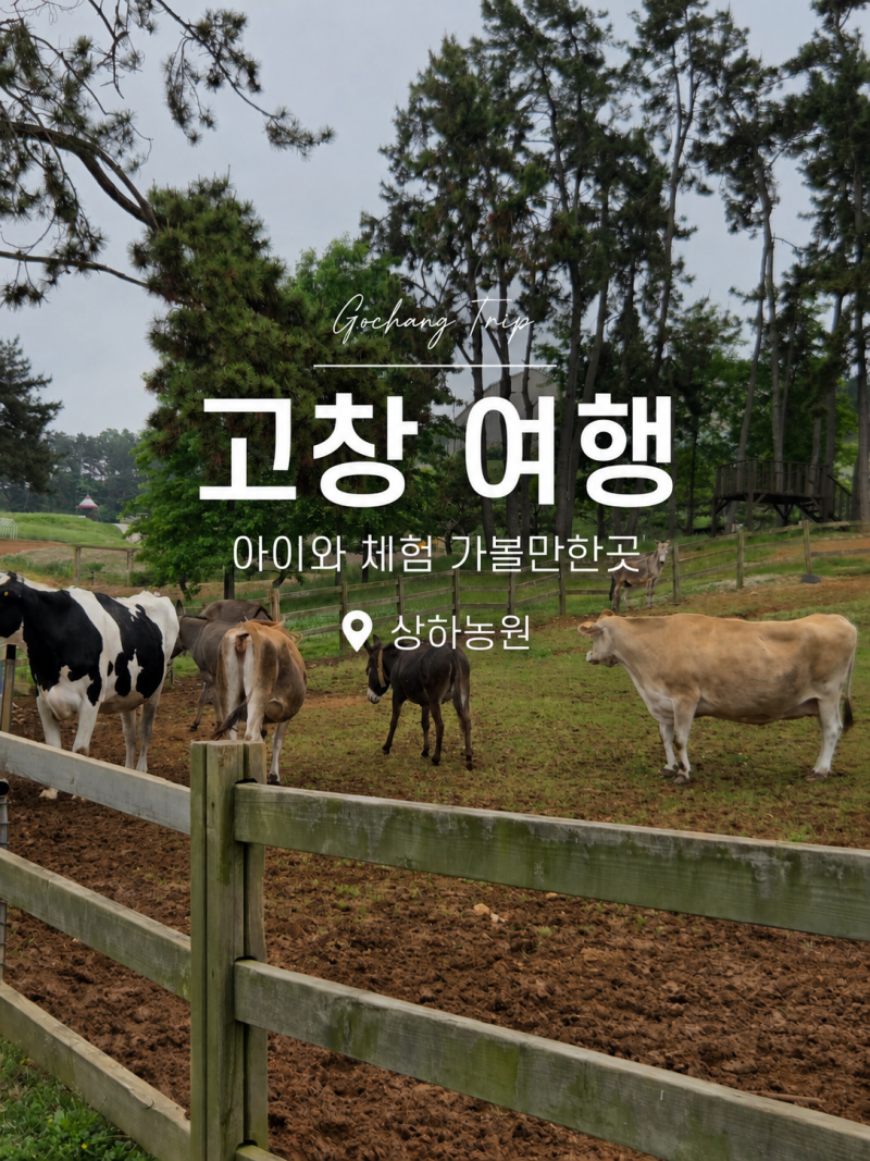 고창 아이랑 가볼 만한 곳 상하농원 입장료 이용 시간 먹이주기 체험