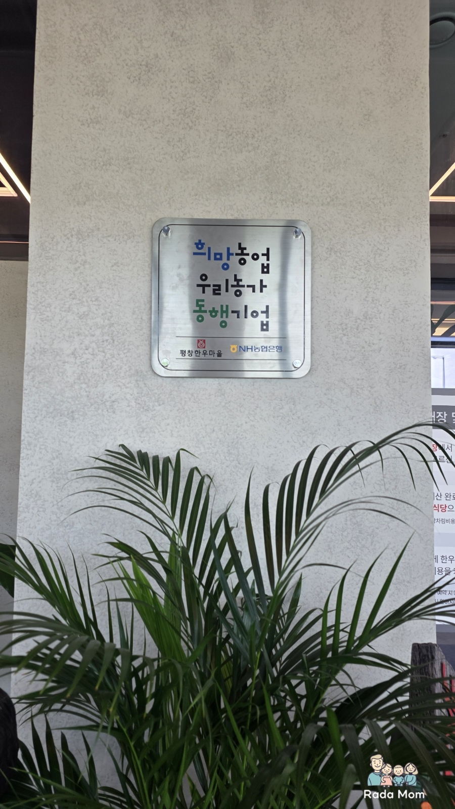 평창한우마을 속초점 사진 5