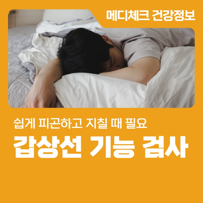 서울 갑상선검사 쉽게 피곤하고 지칠 때 갑상선기능검사 필요