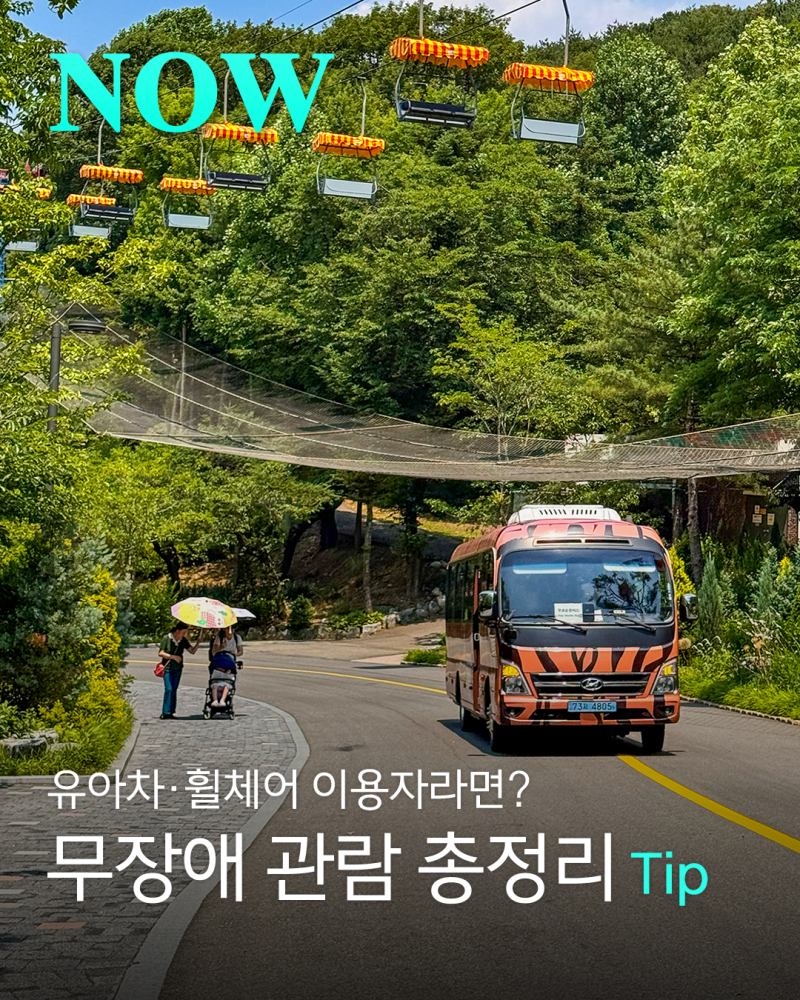 [여름방학 특집 2탄] 유아차·휠체어도 편하게! 서울대공원 동물원 무장애 코스 & 편의시설 총....
