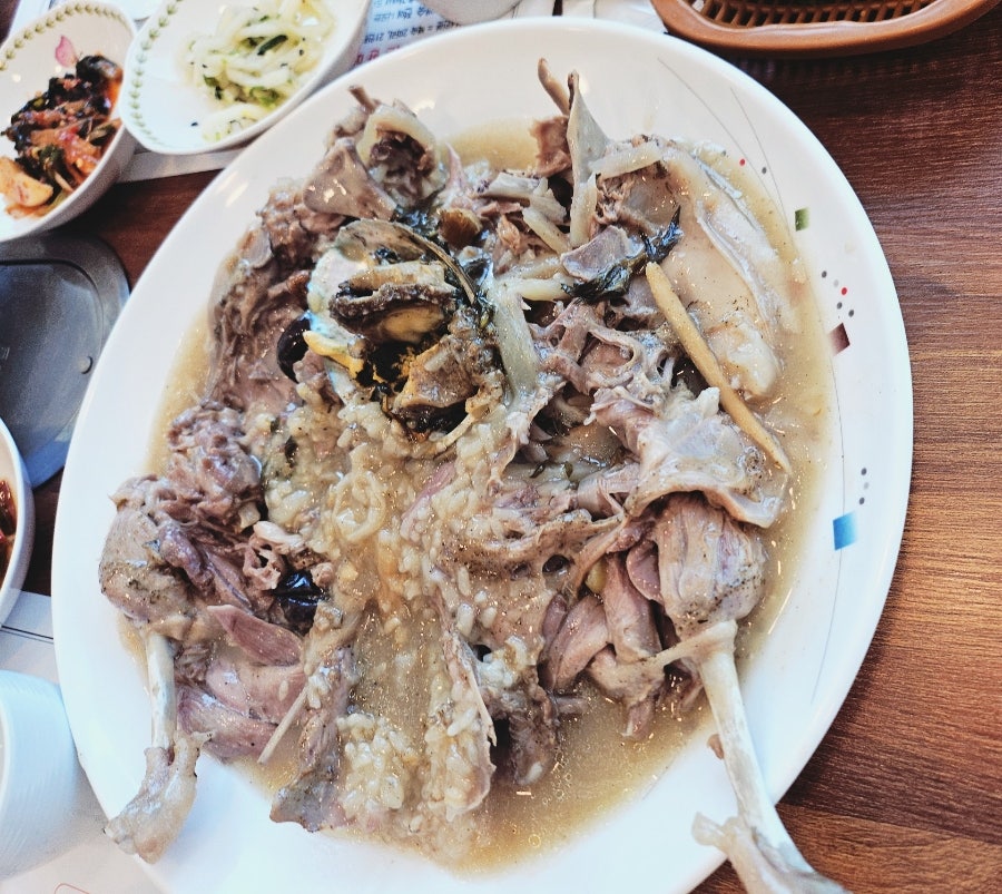 백향목 사진 6