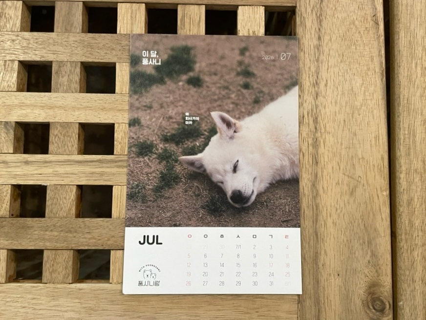 풍사니랑 사진 1