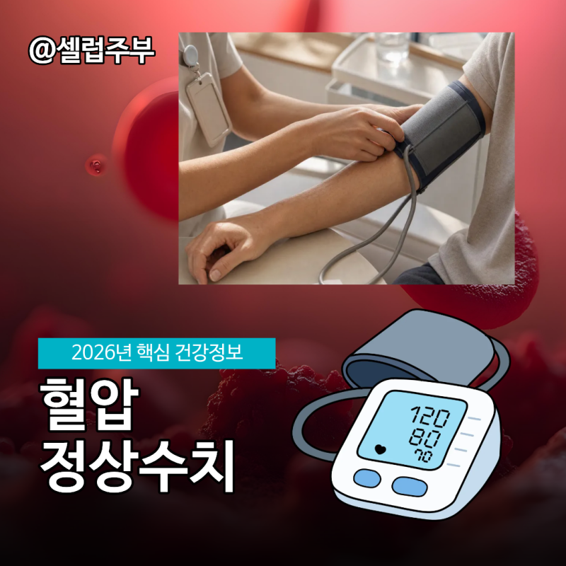 혈압정상수치 120/80mmHg 이하 안전할까?