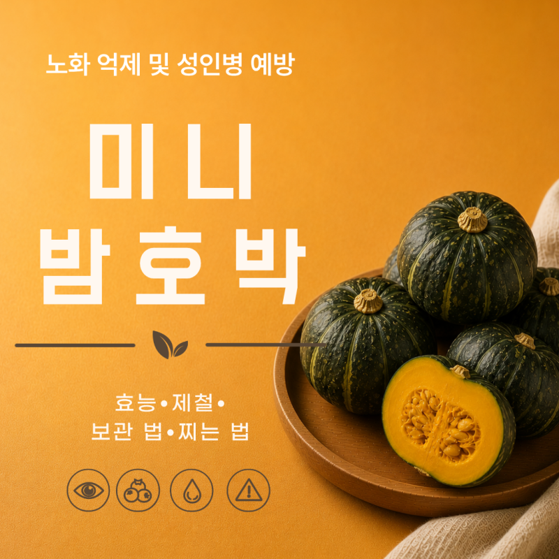 미니밤호박 효능 7가지 제철 보관법 찌는법