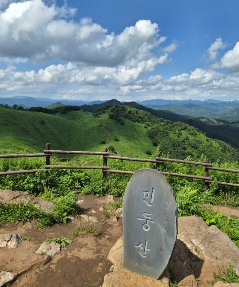 [강원 정선] 민둥산(1,119m)셔틀버스,100+ 여름 혼산