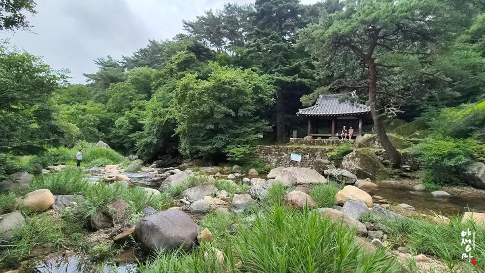 원효계곡 사진 2