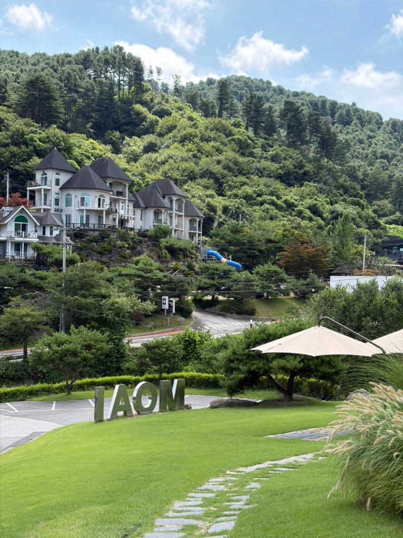 가평 카페 모아이 애견동반 가능한 아침고요수목원 근처 대형카페