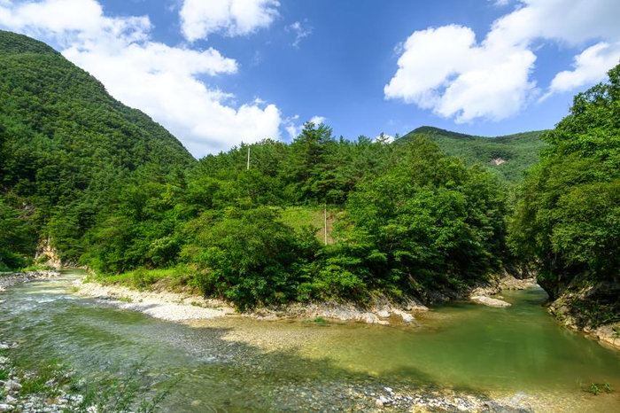덕산기계곡 사진 1