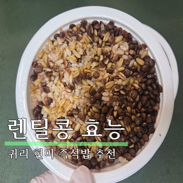 렌틸콩 효능 및 귀리 현미 즉석밥 추천, 저속노화 다이어트 콩밥 간편 식단