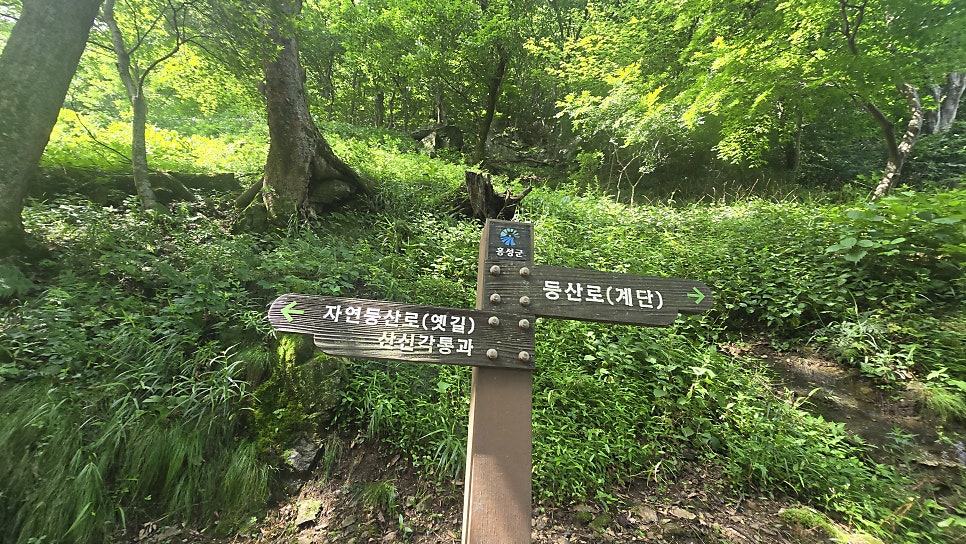 오서산 사진 4