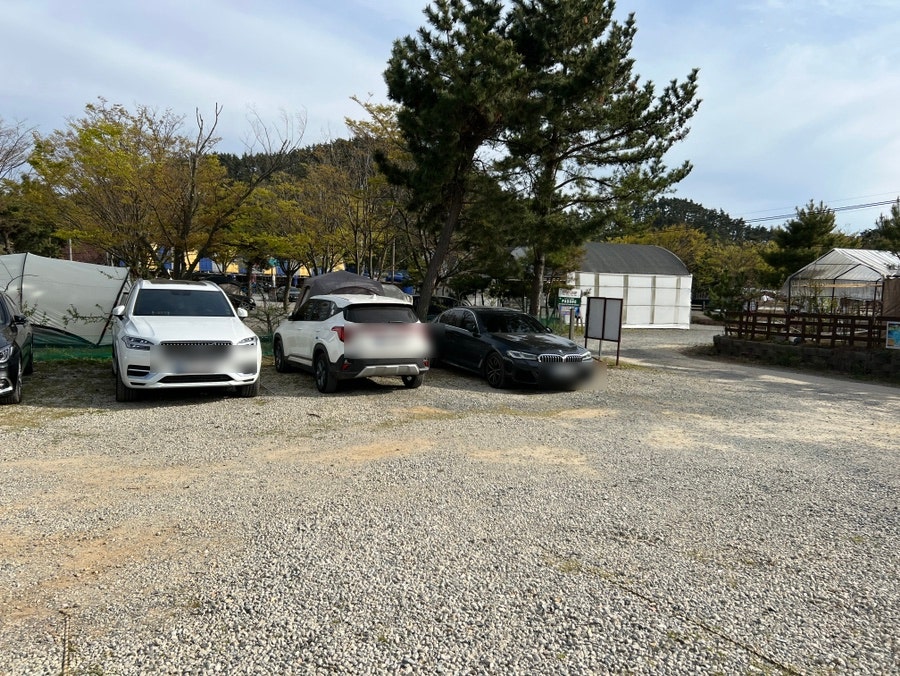 카페파도로 사진 4