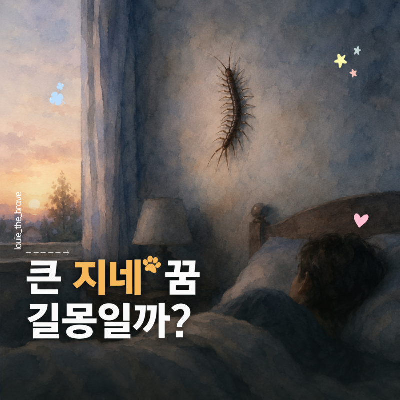 지네 나오는 꿈 해몽, 왕지네 물림 잡는 꿈은 길몽일까?