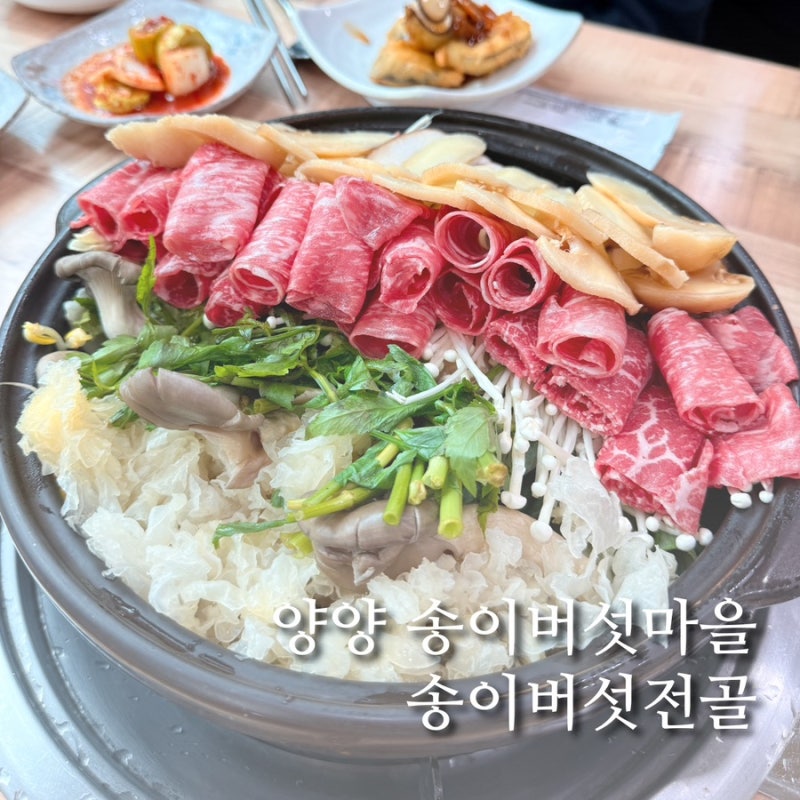 양양 송이버섯마을 후기, 부모님 모시고 먹은 송이버섯전골
