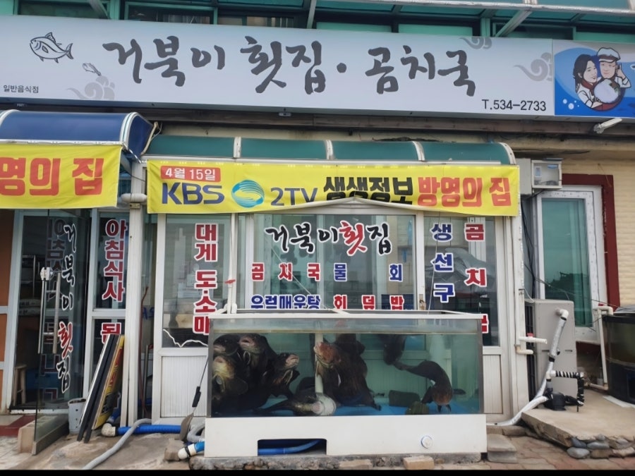 거북이횟집곰치국 사진 1